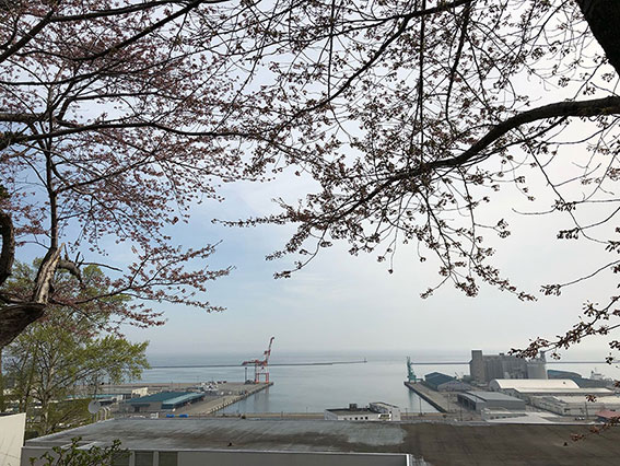 水天宮からの小樽港の眺め